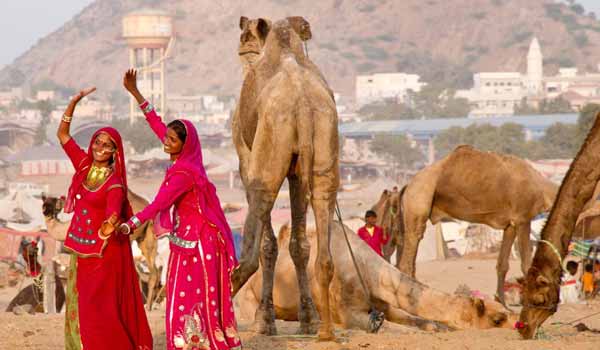 About Camel Fair Pushkar